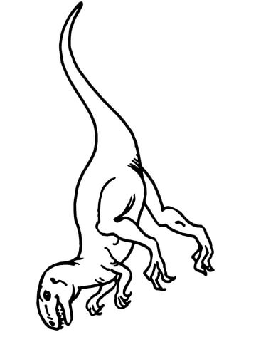 Teratosaurus Dino Coloring Page